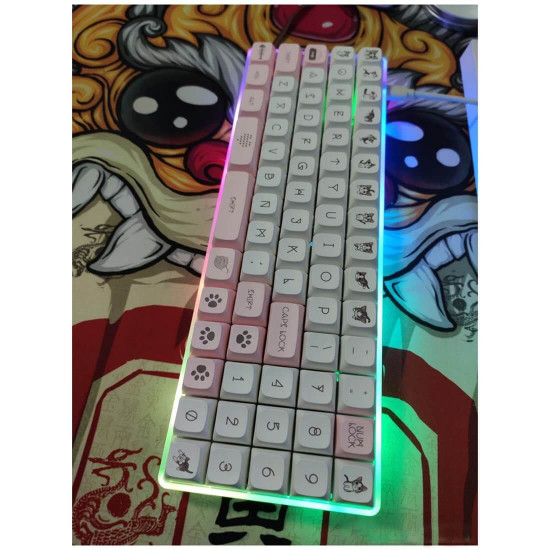 pbt dye-sub keycaps oem profile