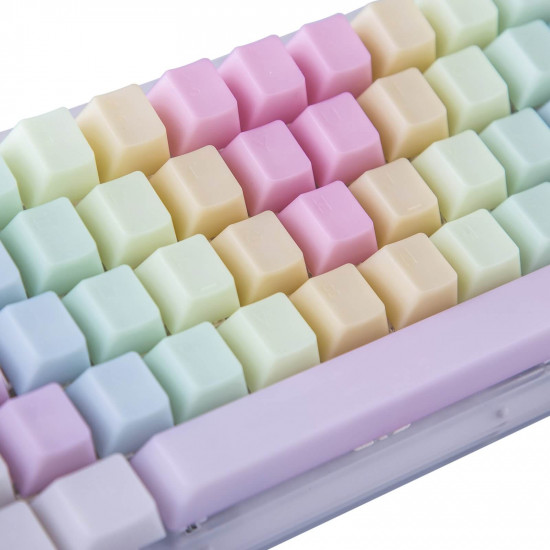 pom jelly keycaps - rainbow (top printed)