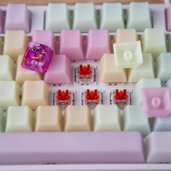 pom jelly oem profile keycaps for diy mechanical keyboard - side printed