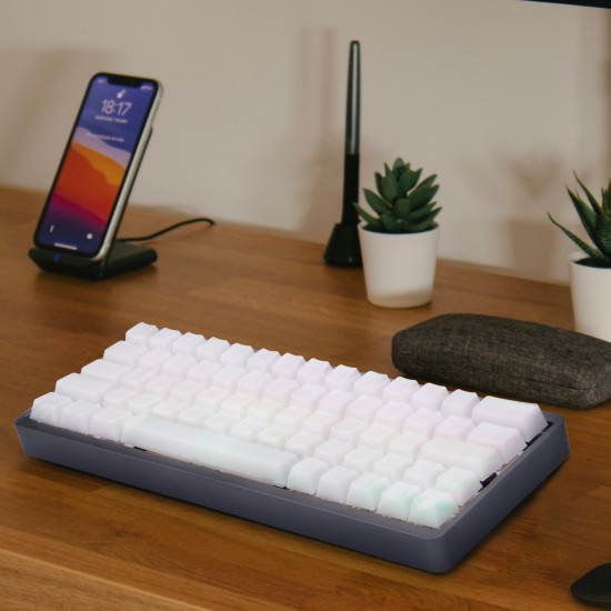 mechdiy pom white keycaps hot-swappable rgb backlit kits wired bluetooth three-module mechanical keyboard